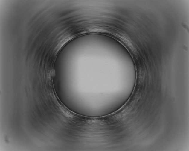 X0000096661281200802191258