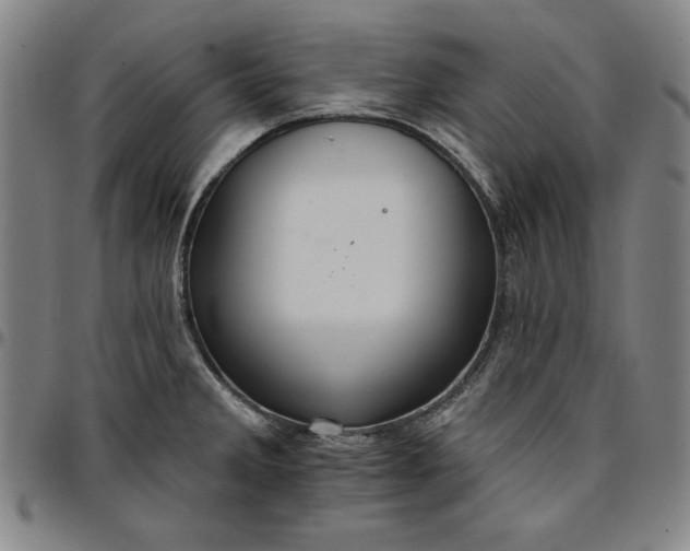 X0000096661285200802191258