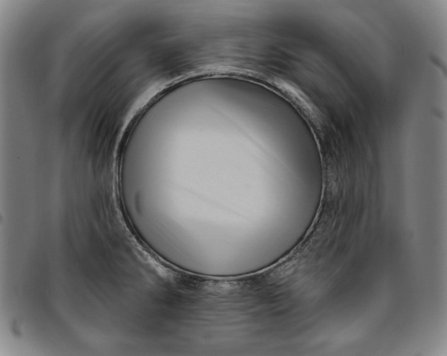 X0000096661286200802191258