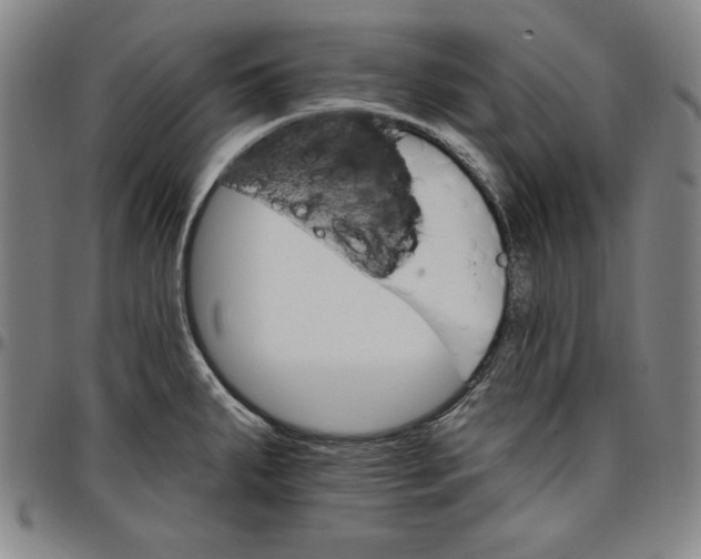 X0000096661287200802191258