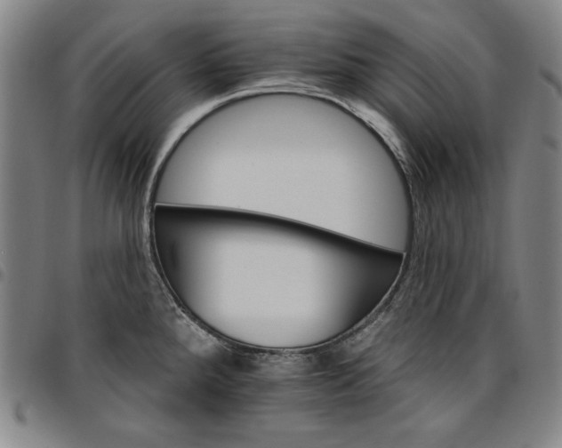 X0000096661288200802191258