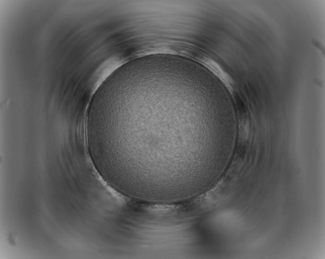 X0000096661290200802191258