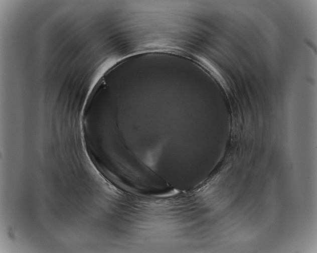 X0000096661291200802191258