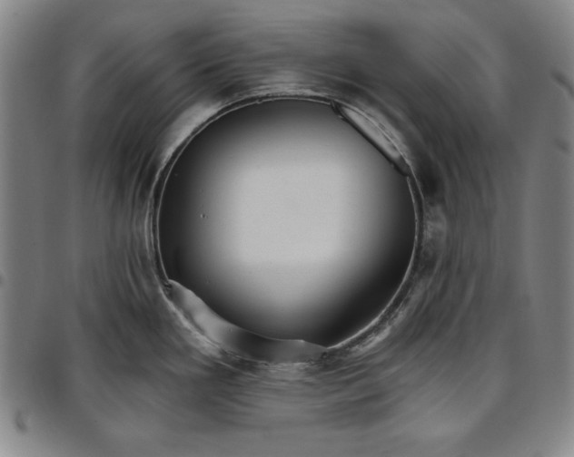 X0000096661293200802191258