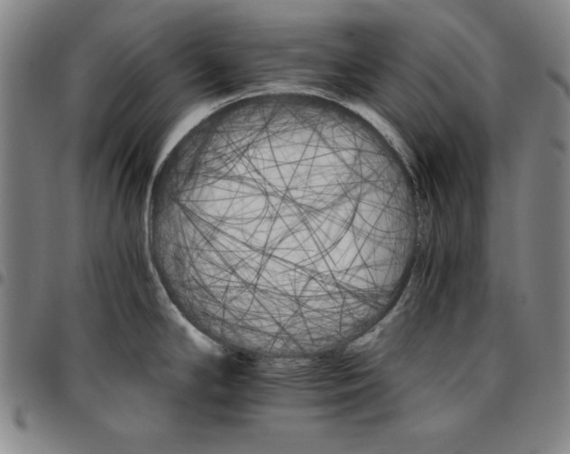 X0000096661294200802191258