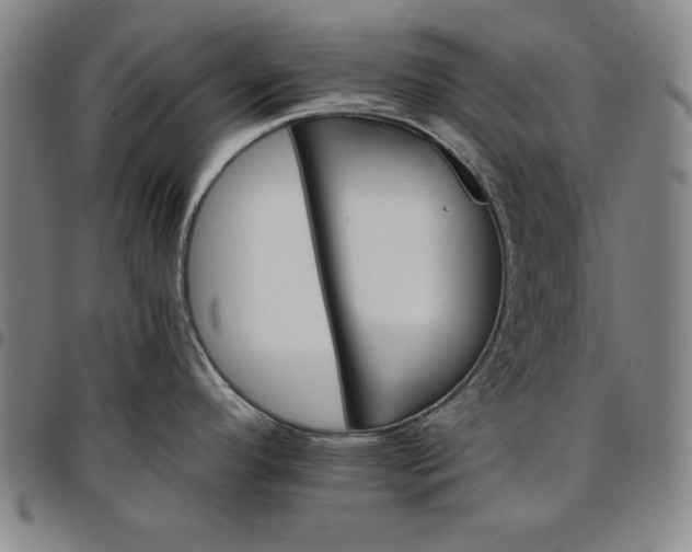 X0000096661296200802191258