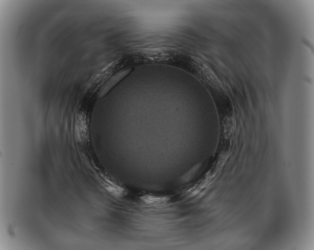 X0000096661298200802191257