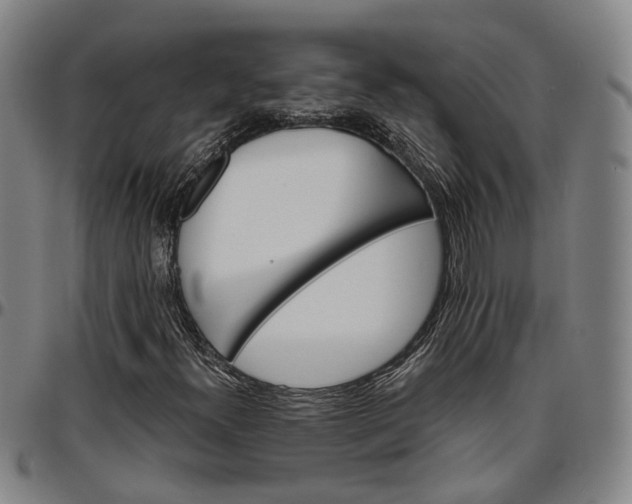 X0000096661300200802191257