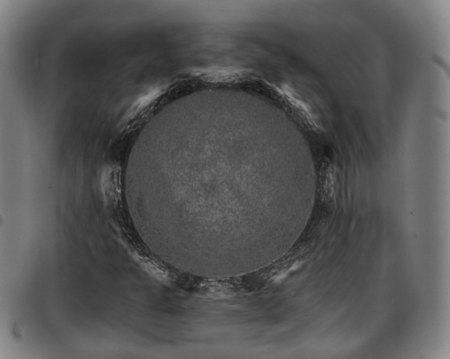 X0000096661301200802191257