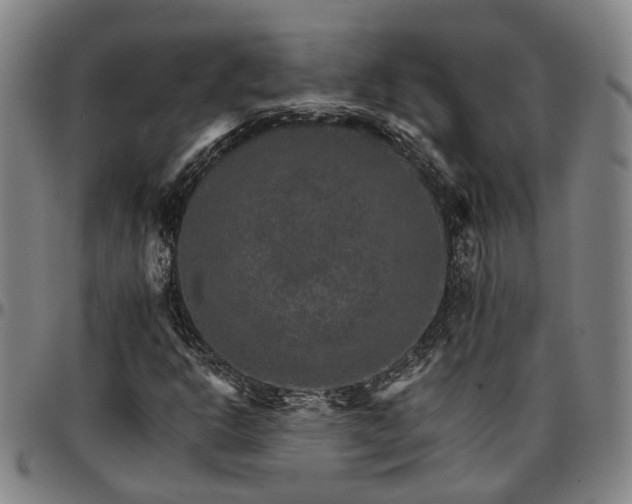 X0000096661302200802191257