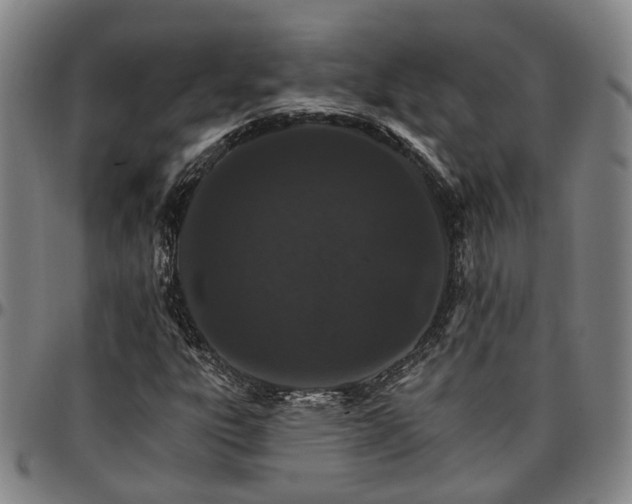 X0000096661303200802191257