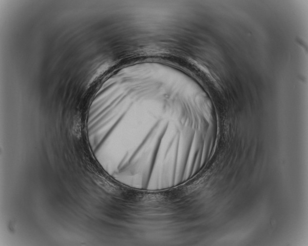 X0000096661306200802191257