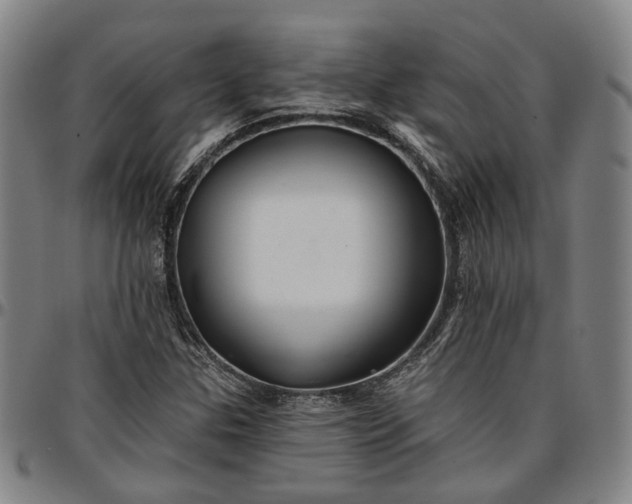 X0000096661307200802191257