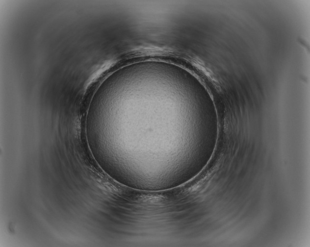 X0000096661309200802191257