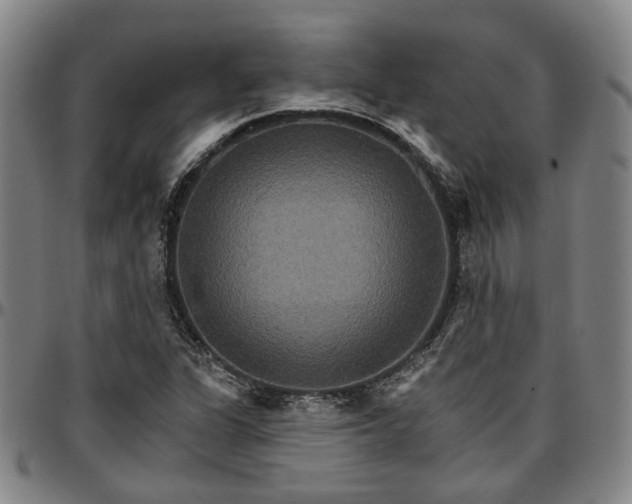 X0000096661311200802191257