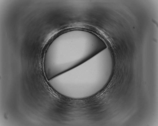 X0000096661312200802191257