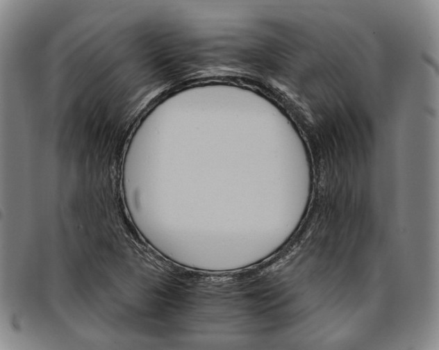 X0000096661313200802191257