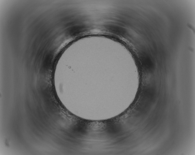 X0000096661314200802191257