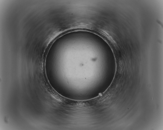 X0000096661316200802191257