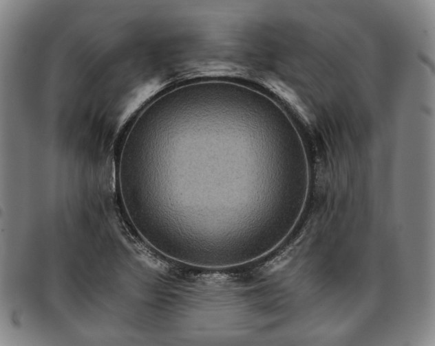 X0000096661317200802191257