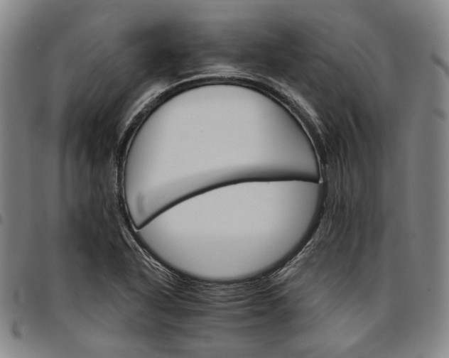 X0000096661318200802191257