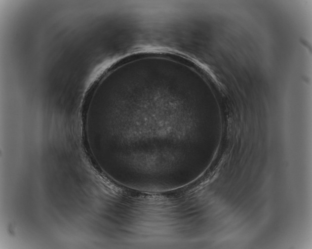 X0000096661319200802191257