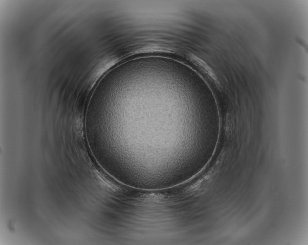 X0000096661321200802191257