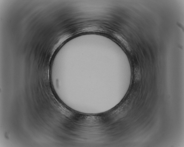 X0000096661322200802191257