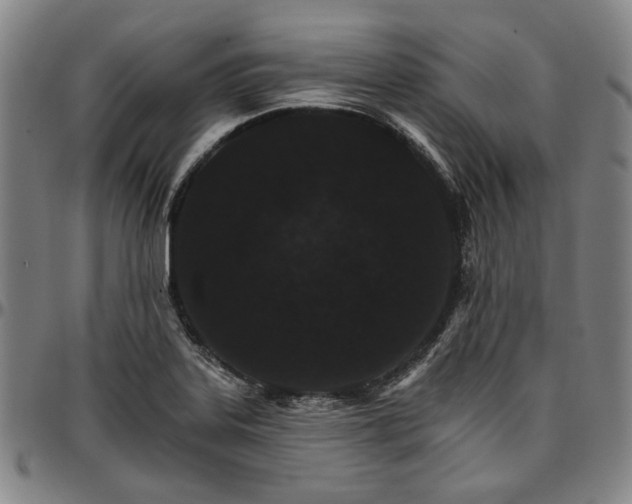 X0000096661323200802191257