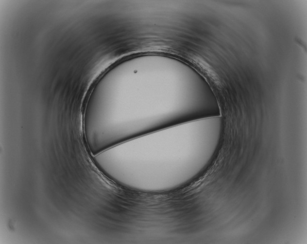 X0000096661324200802191257