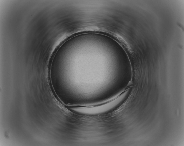 X0000096661326200802191257