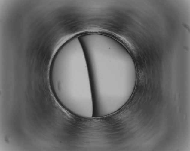 X0000096661327200802191257