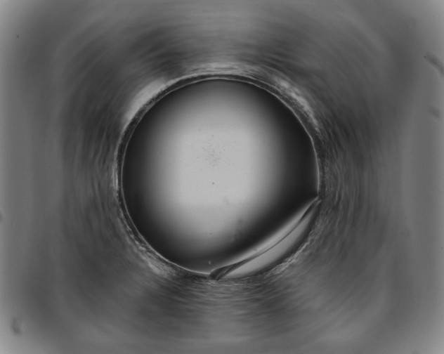 X0000096661328200802191257