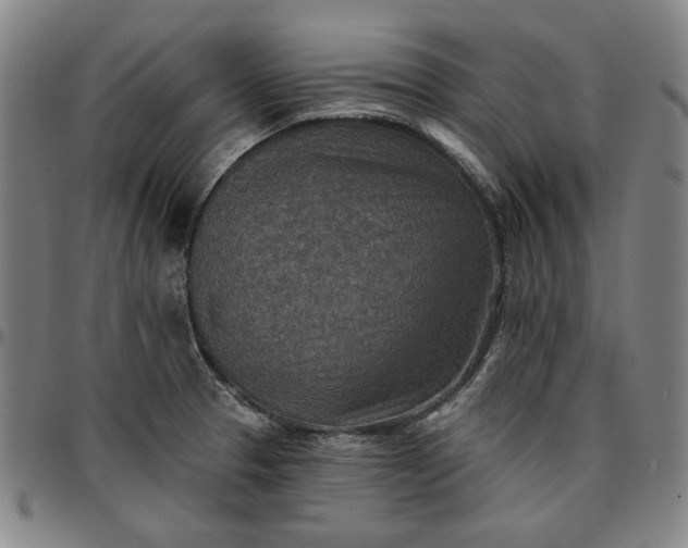 X0000096661329200802191257