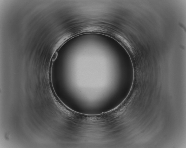 X0000096661330200802191257