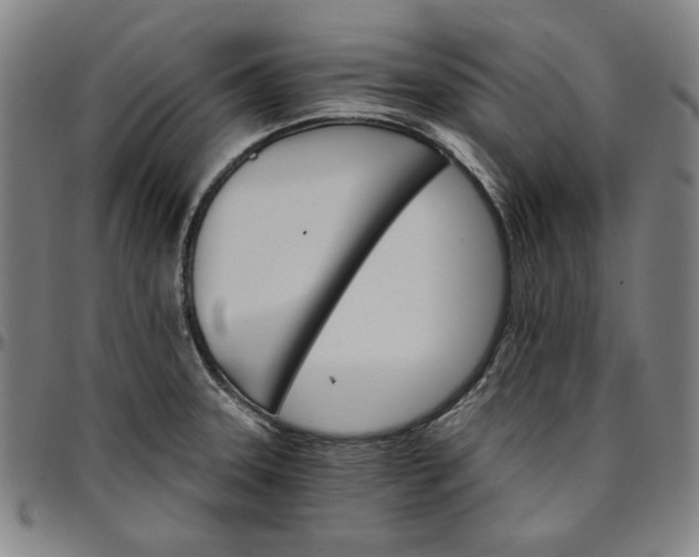 X0000096661331200802191257