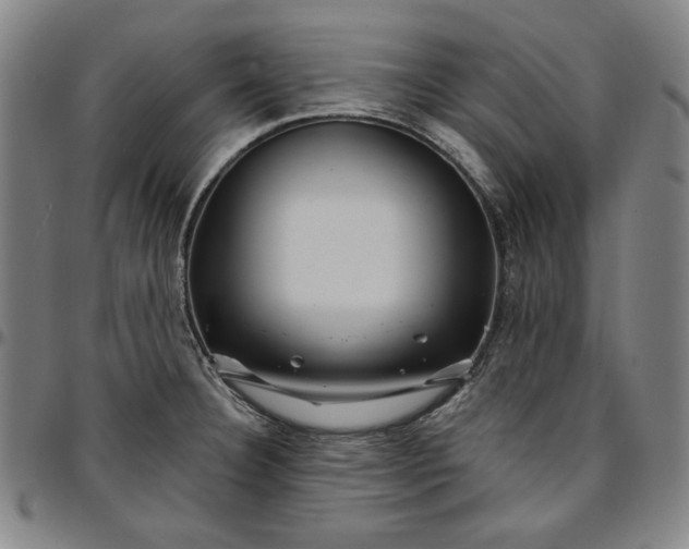 X0000096661332200802191257