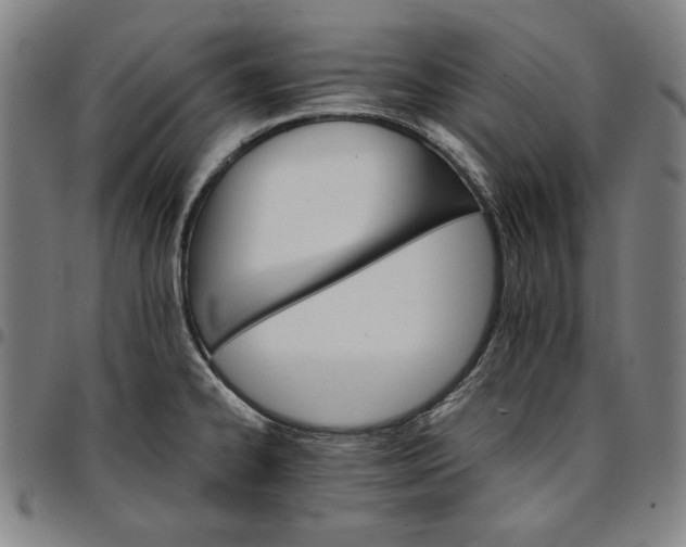 X0000096661334200802191257