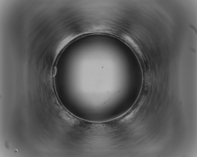 X0000096661336200802191257