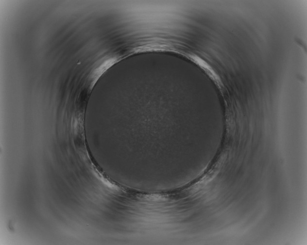 X0000096661337200802191257