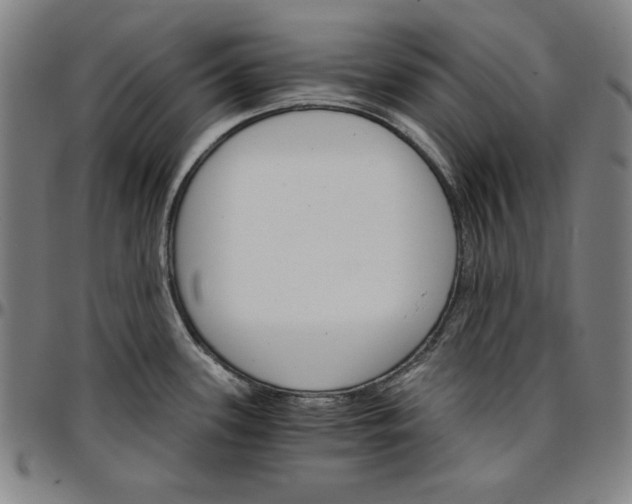 X0000096661339200802191257