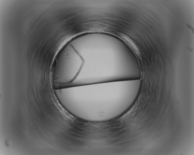 X0000096661340200802191257