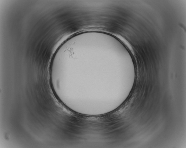 X0000096661341200802191257