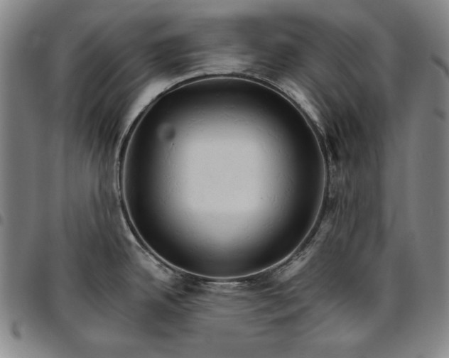 X0000096661342200802191257