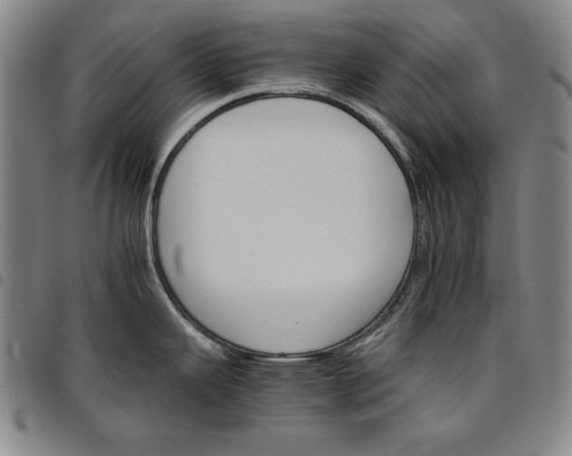 X0000096661343200802191258