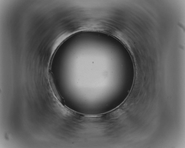 X0000096661344200802191258