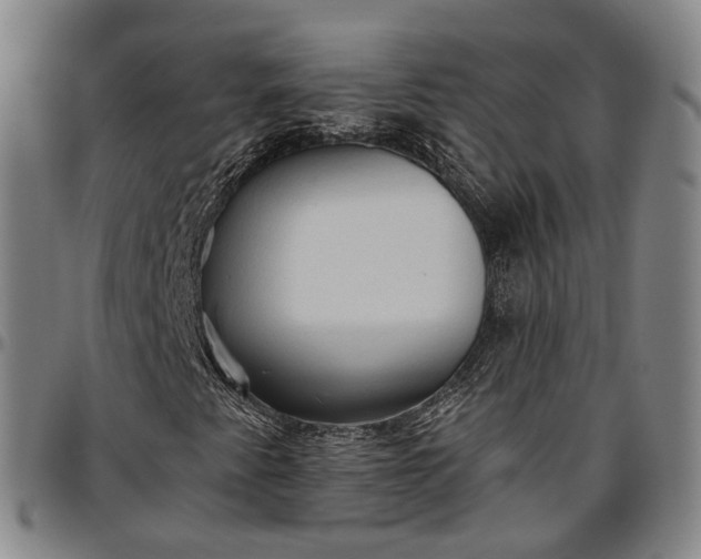 X0000096661345200802191257