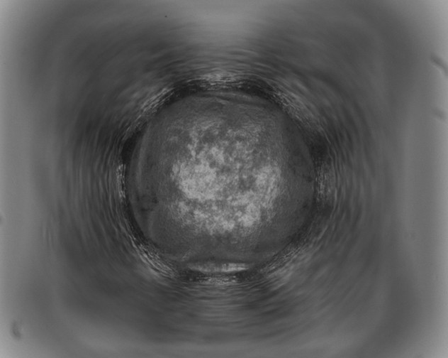 X0000096661346200802191257