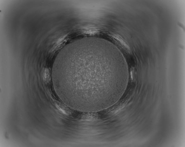 X0000096661347200802191257