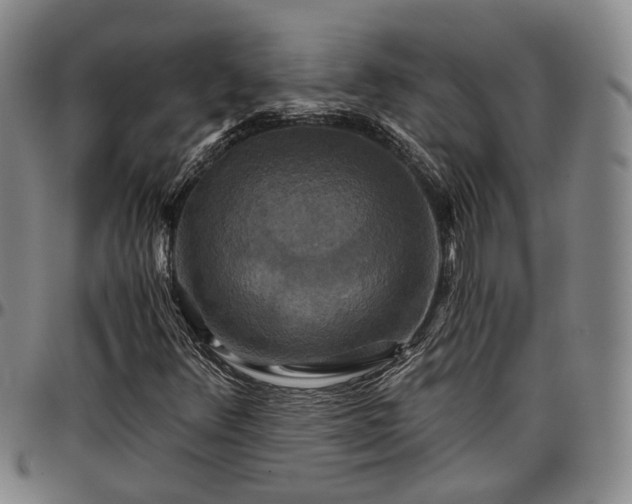 X0000096661348200802191257